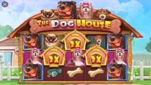 Dunia Anjing Lucu Penuh Hadiah Menarik Dari The Dog House