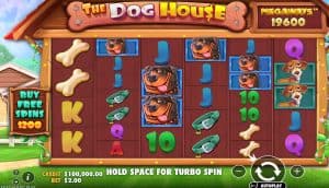 Aksi Lucu Bikin Cuan Betah Seru Fun The Dog House Megaways